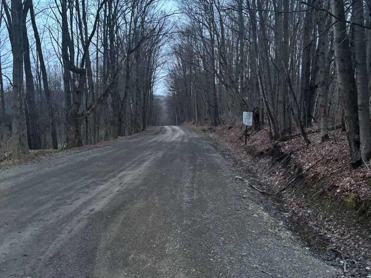 Walker Road trail photo