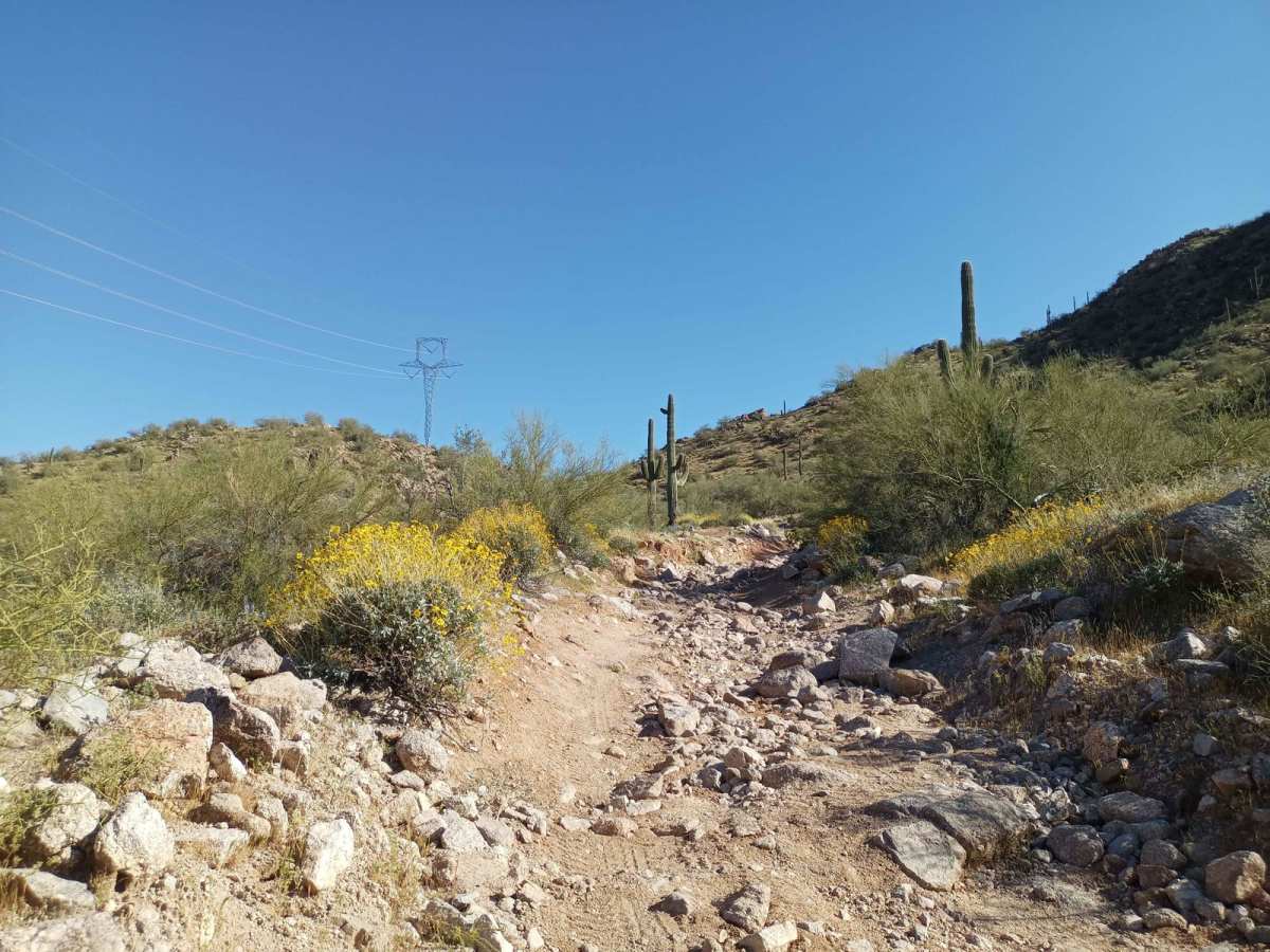 Power Line Road | Hidden Valley South trail photo