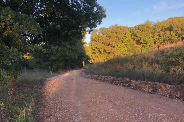 Hayfield Trail