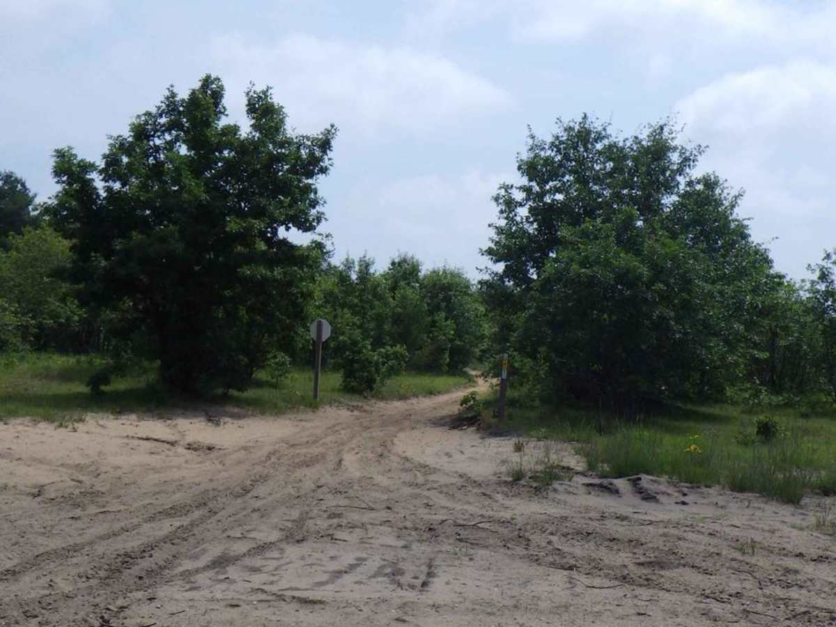 Kalkaska ORV Trail - North photo 2