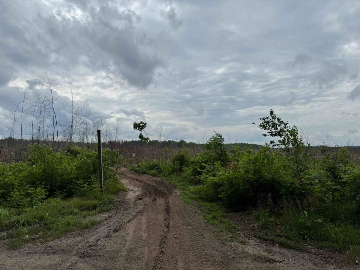 Kalkaska ORV Trail - South photo 6