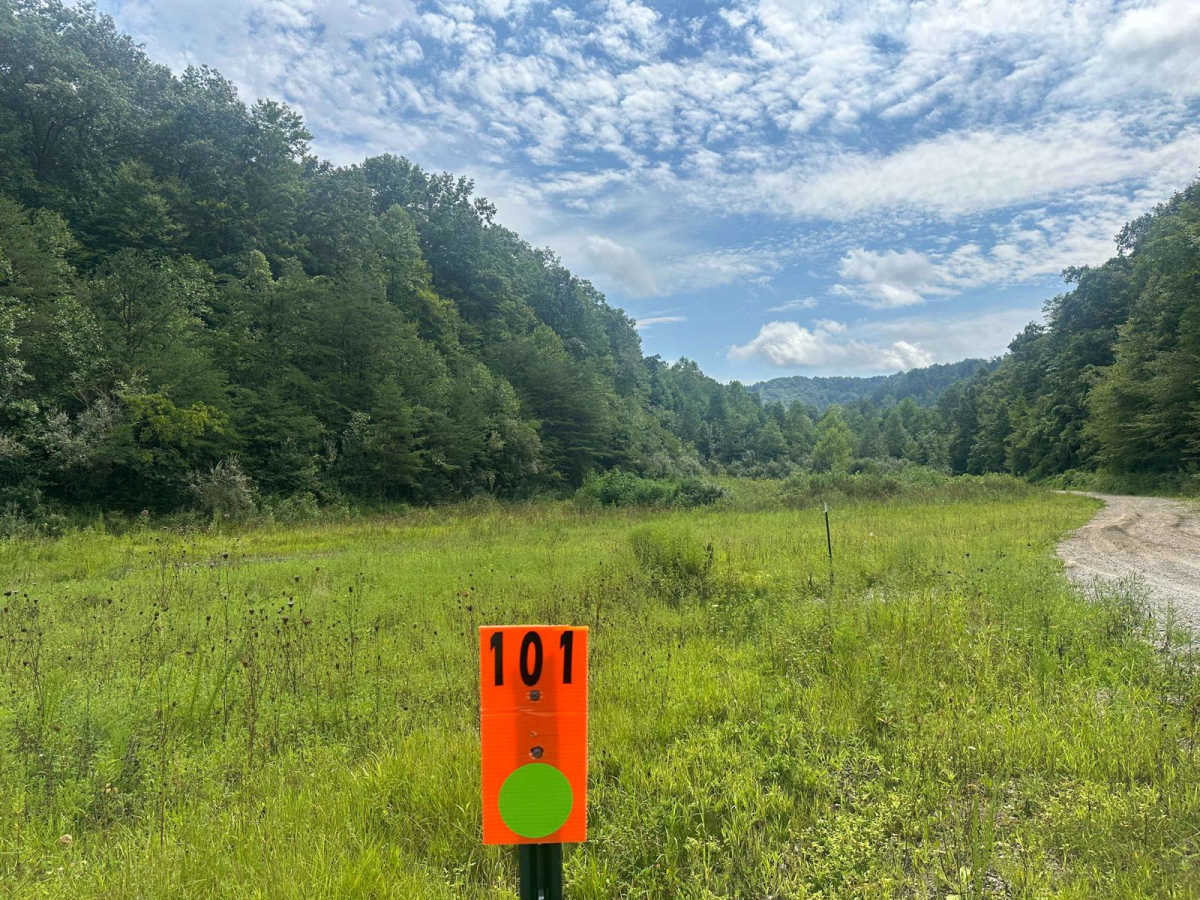 101 trail photo
