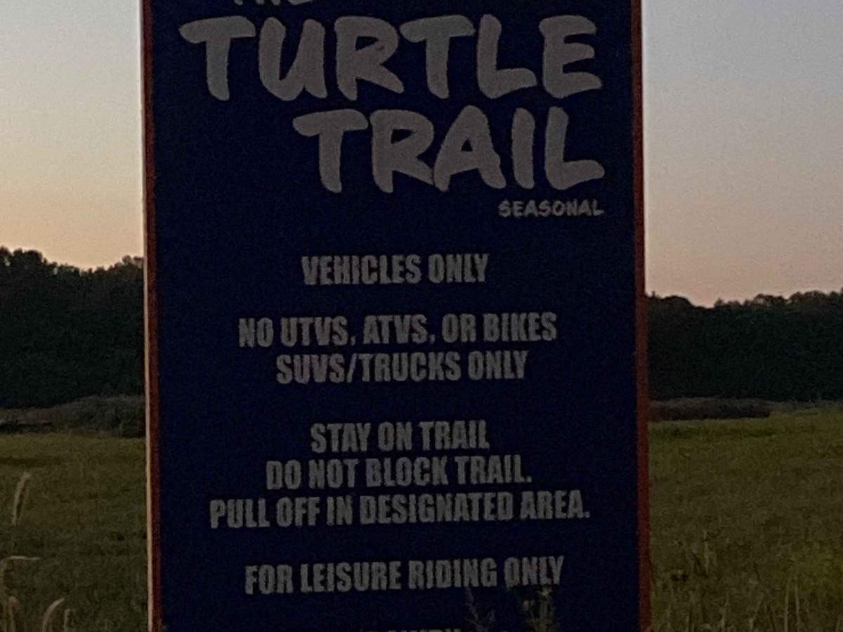 Turtle Trail photo 2
