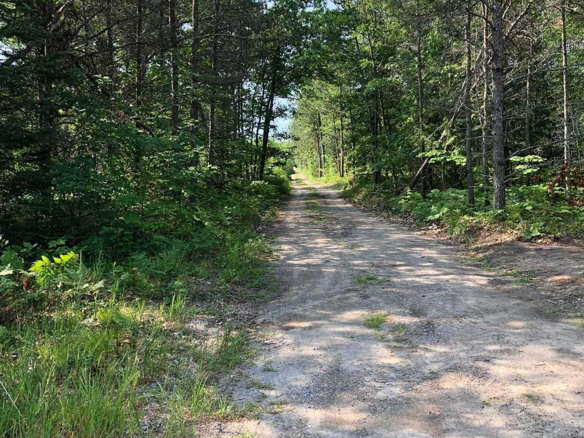 Friedrick Road trail photo
