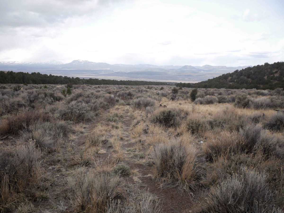 Marshall Canyon ATV Trail photo 5