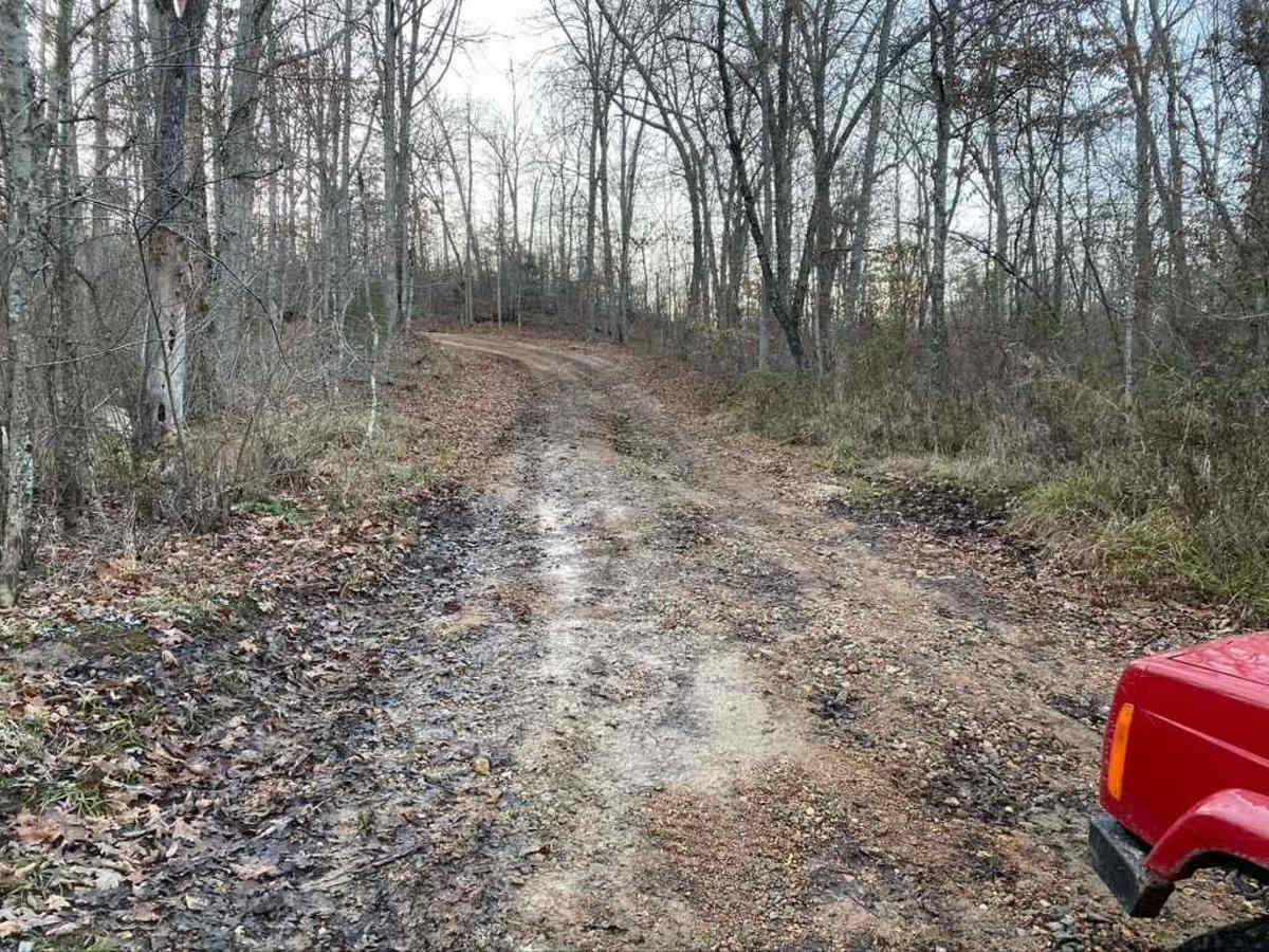 Pine Union Hill FSR 2137 photo 2