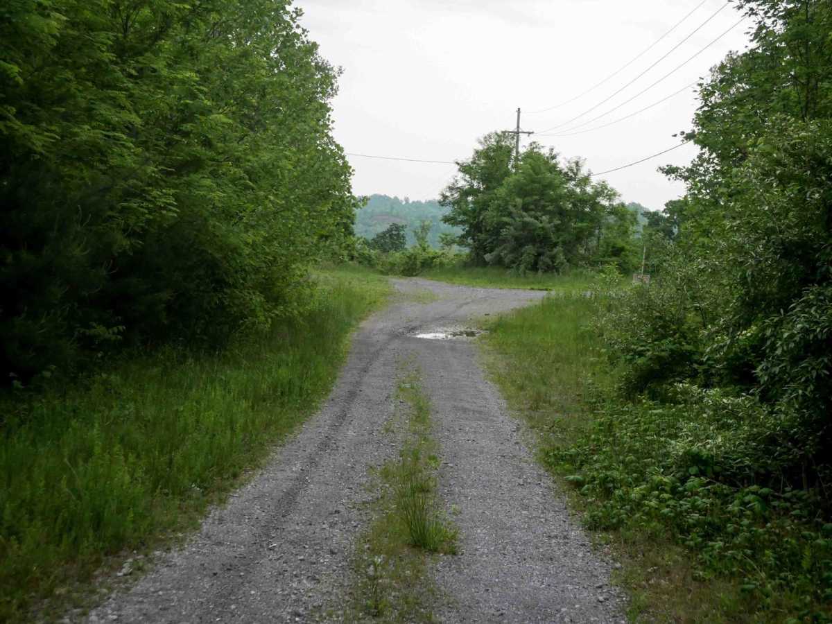 J31 photo 4