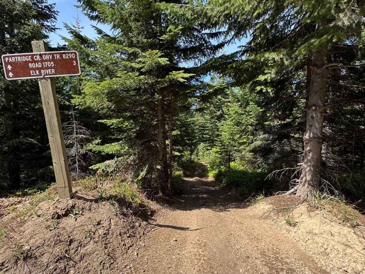 Partridge Creek OHV Trail 8290 photo 6
