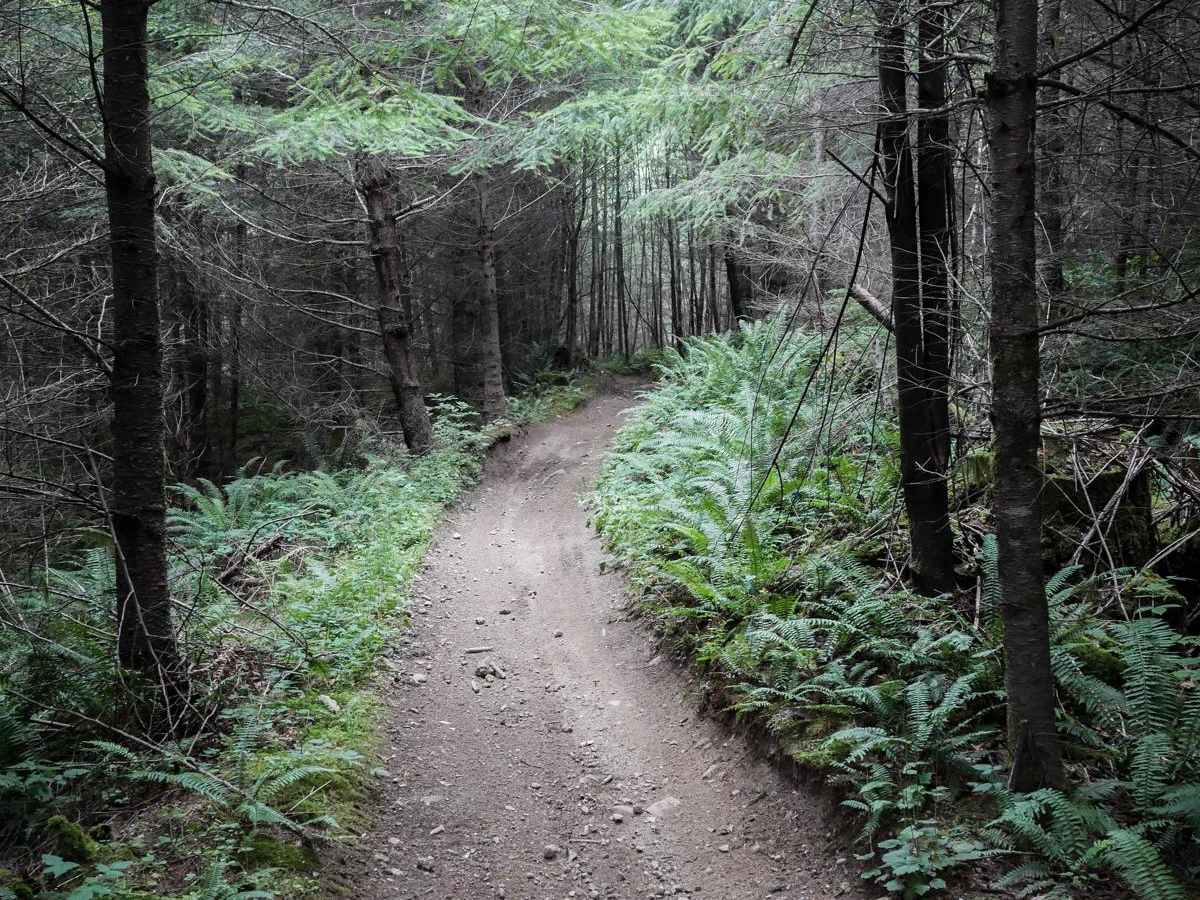 Doug's Loop photo 6