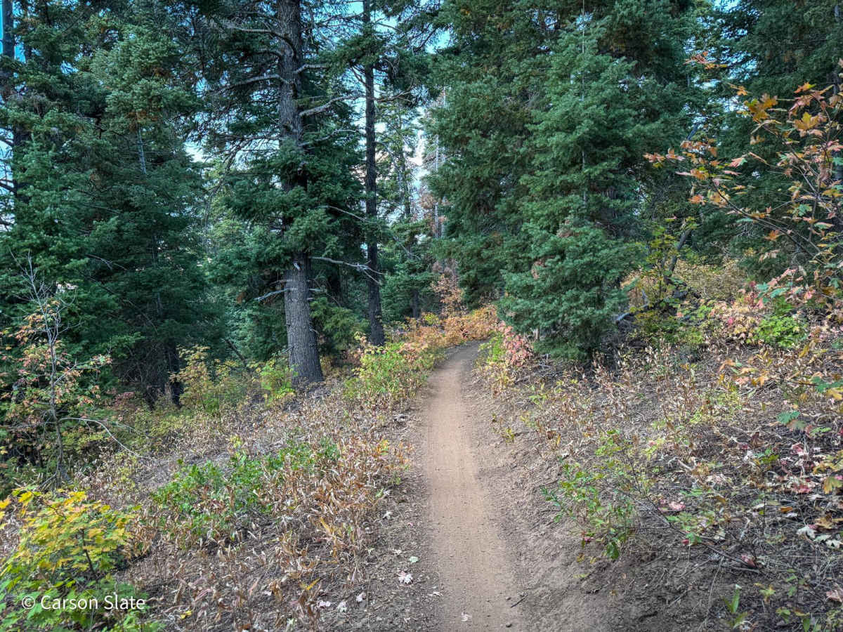 Mueller Park photo 4