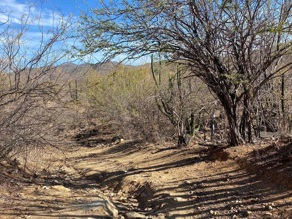 Reserva Sierra Laguna Loop photo 6