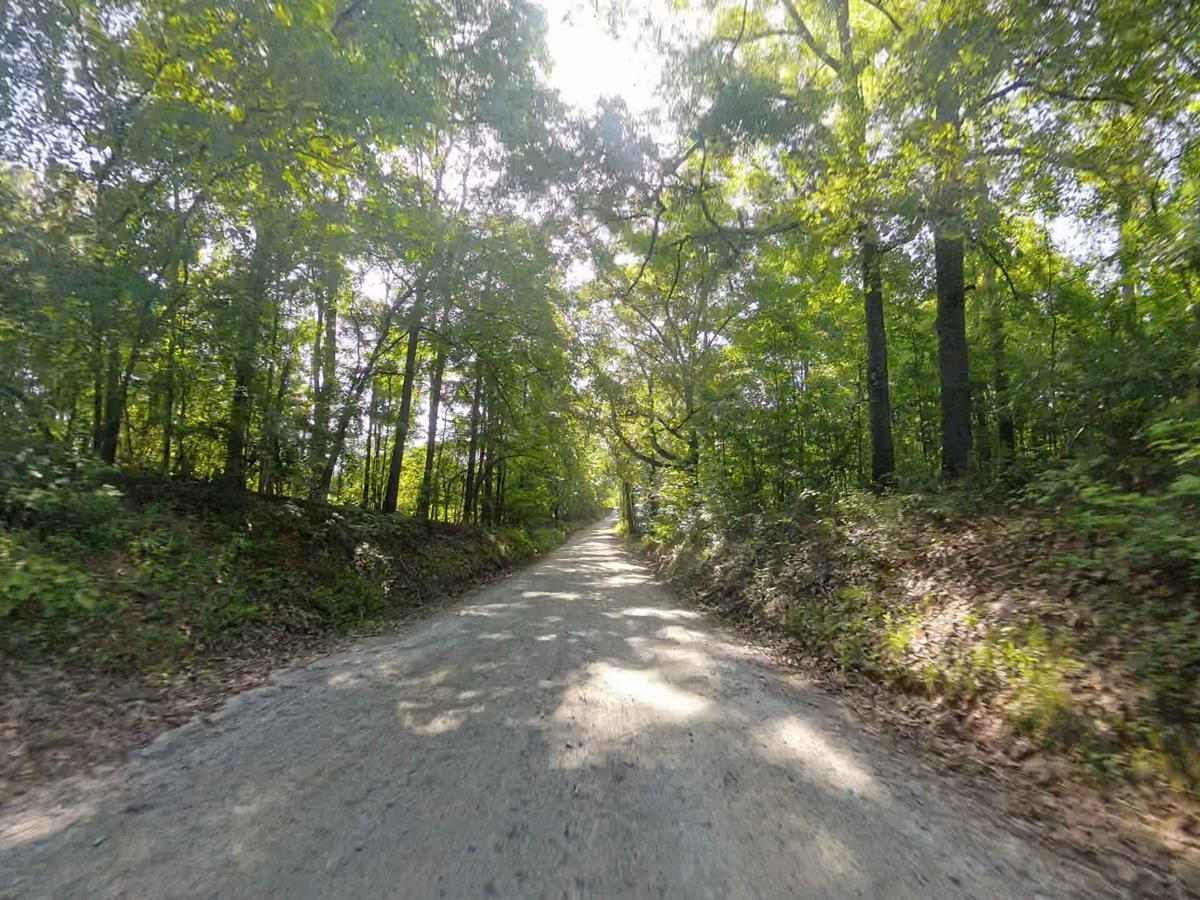 Bear Creek Road photo 6