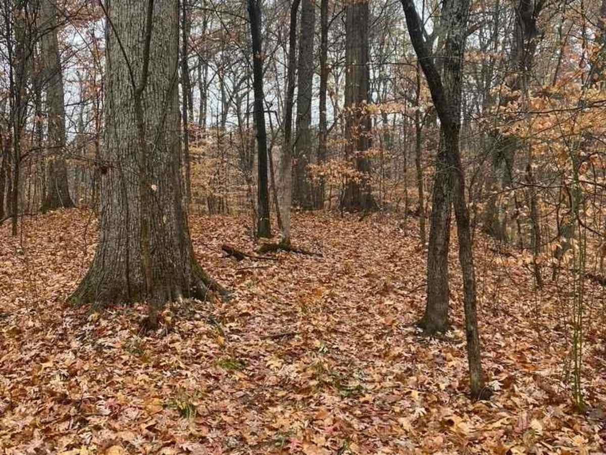 N Hamburg Hill Spur photo 5