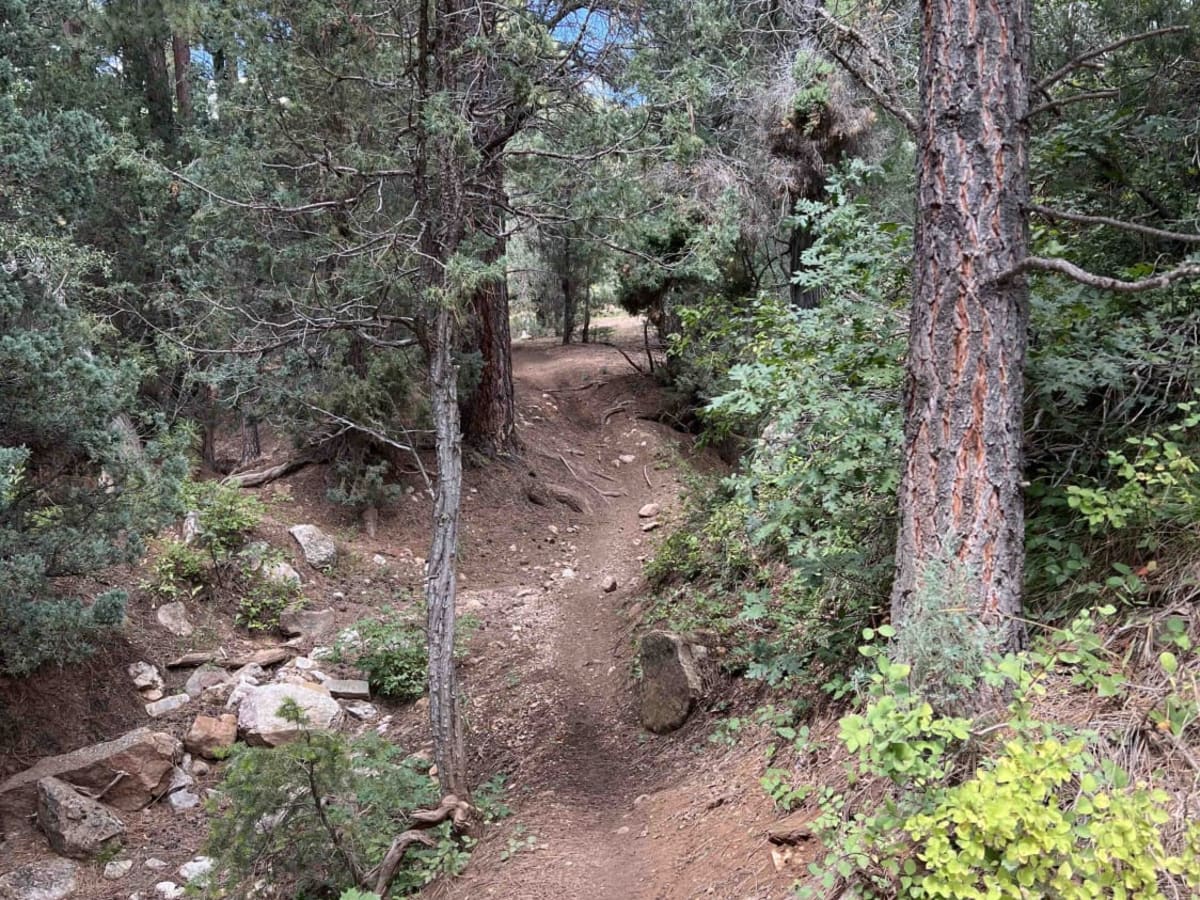 Mapleton-Sawmill Hollow (8013) photo 4