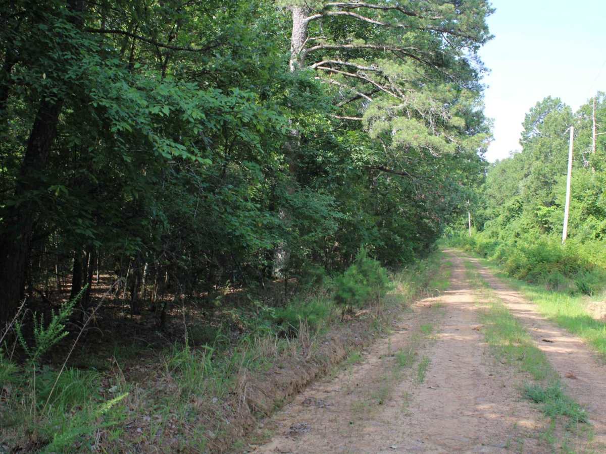 Dutch Creek Mountian to Towers photo 4