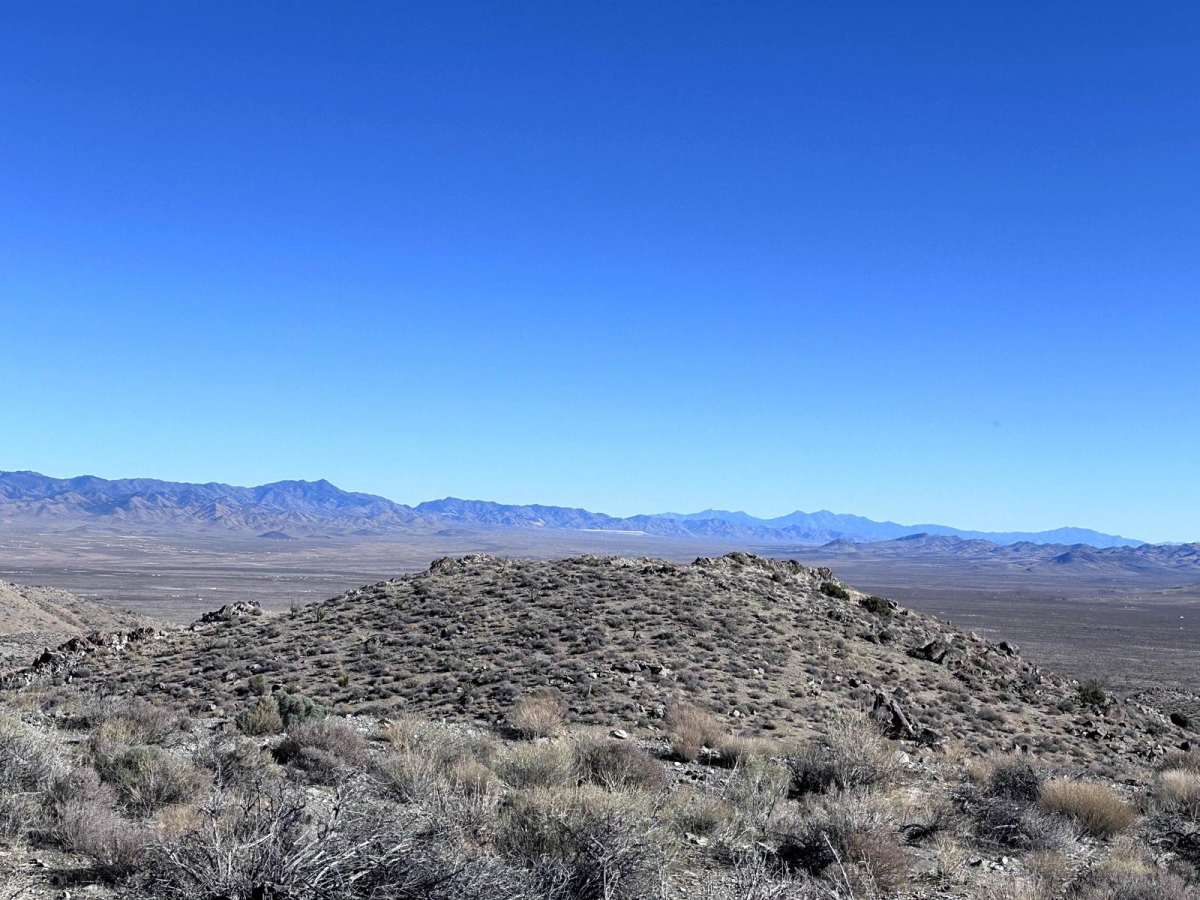 Coyote Spring photo 5