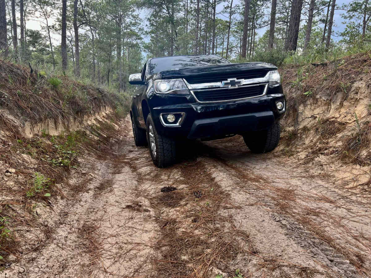Crooms Wildlife Management | Trail 4 photo 5