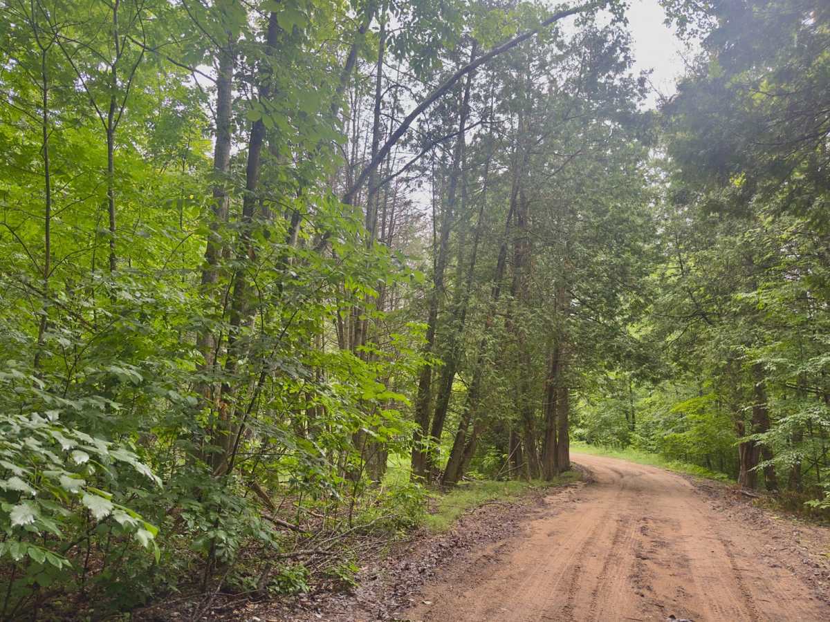 Pinney Bridge Road photo 6