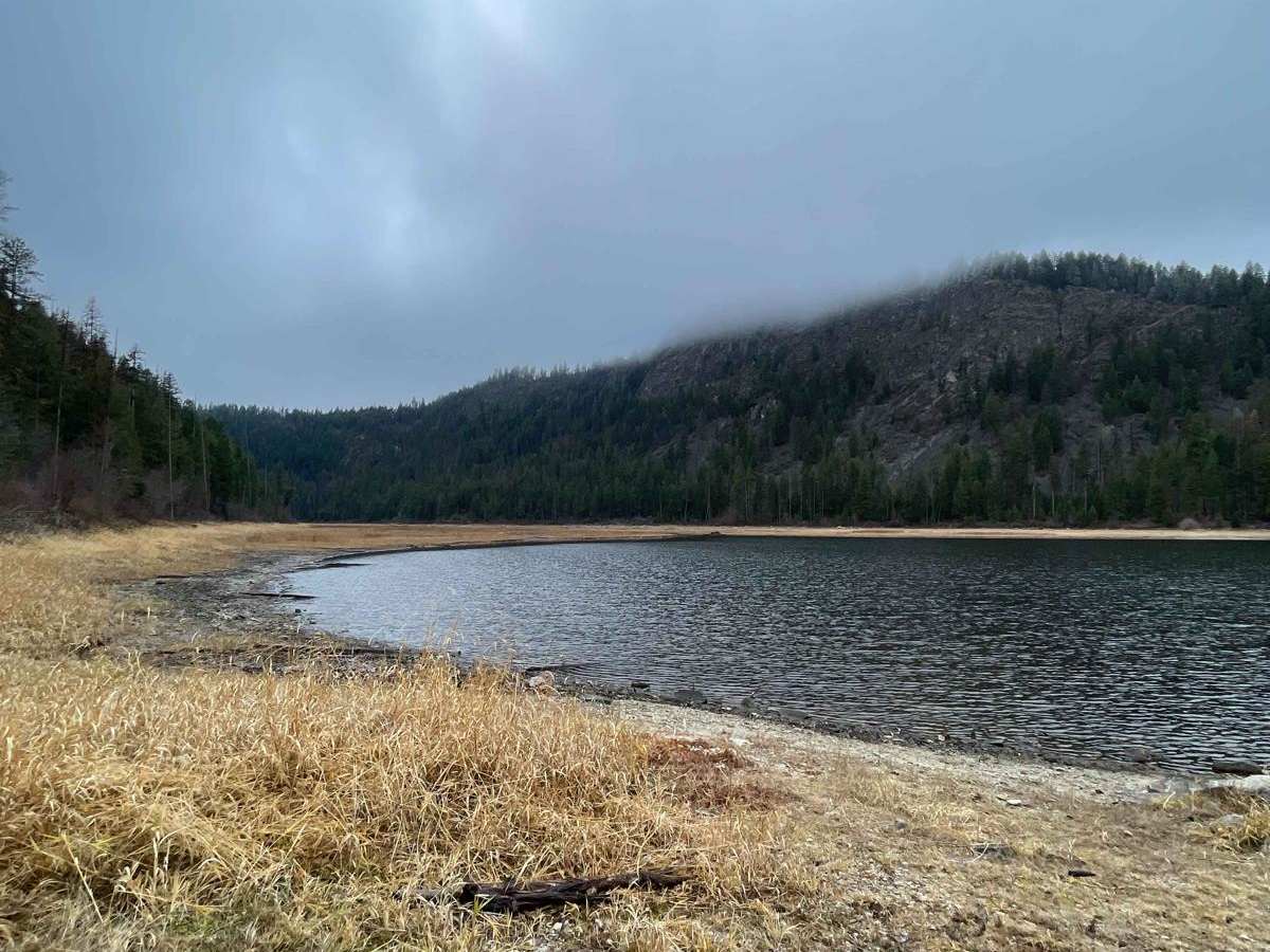 Bayley Lake Road trail photo