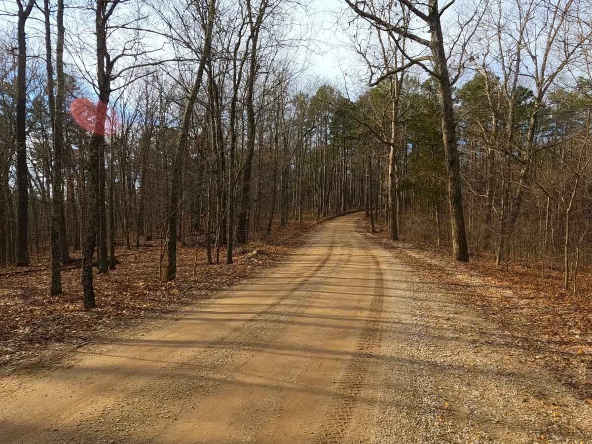 Martin Road - WCR 648 photo 4