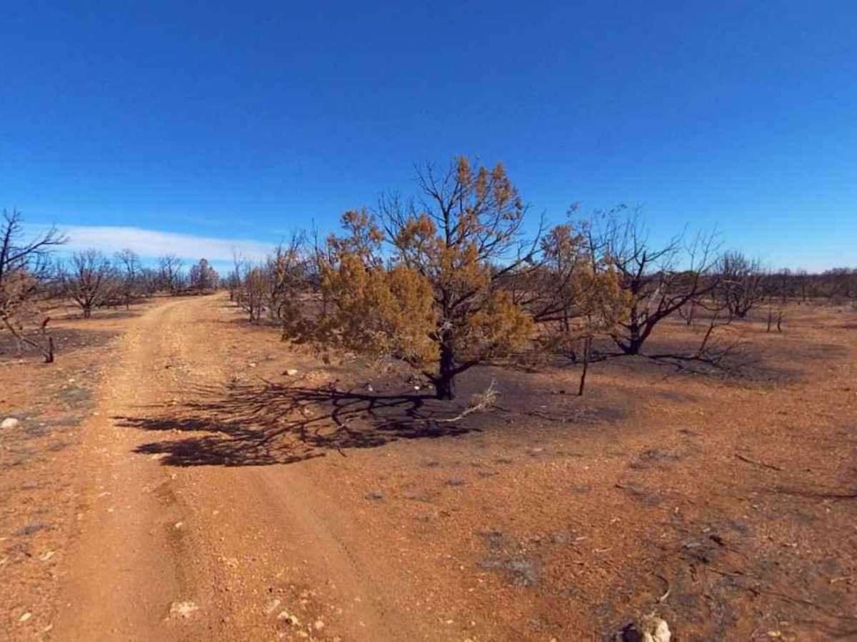 Larkum Canyon Road photo 6