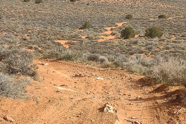 Backdoor to Babylon Loop