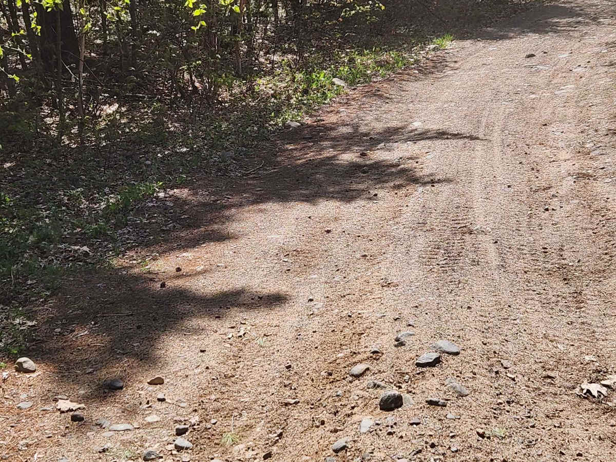 Nicolet State Trail - Bushafer to Wabeno trail photo