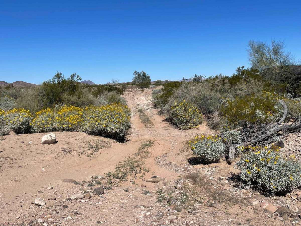 BLM OH43 Cutover photo 5
