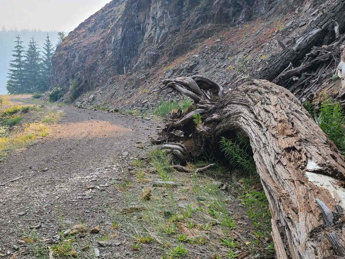 Warner Lookout Adventurers Detour trail photo