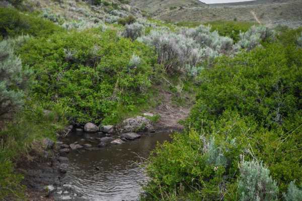 Lower Dry Gulch