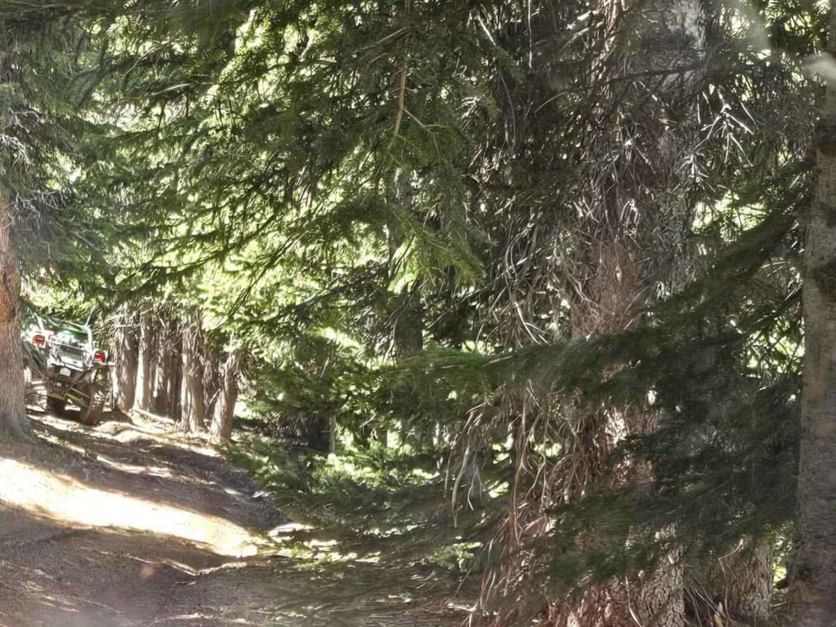 Grouse Creek Overlook Spur photo 6