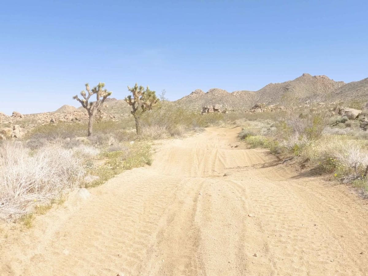 BLM C3429 trail photo