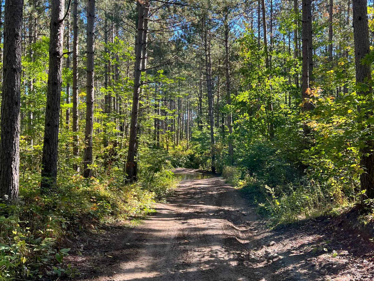 The Narrow Bull Moose Trail photo 2