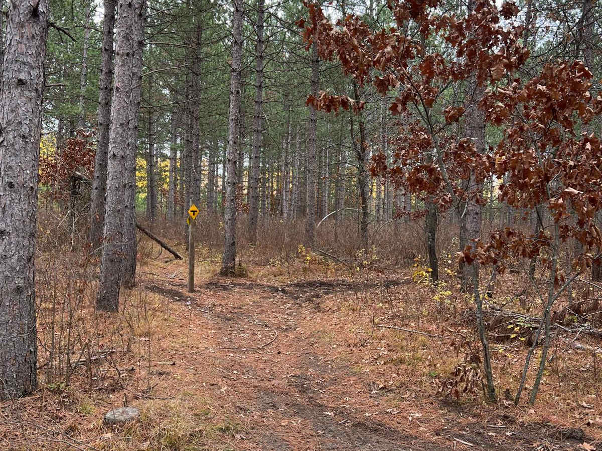 Huntersville Southeast Leg photo 5