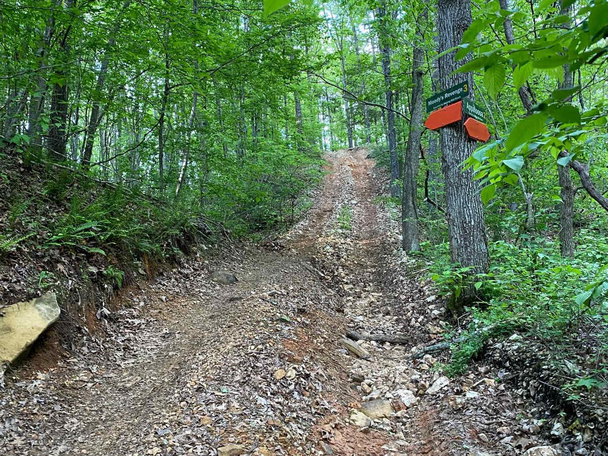 Moody's Revenge trail photo