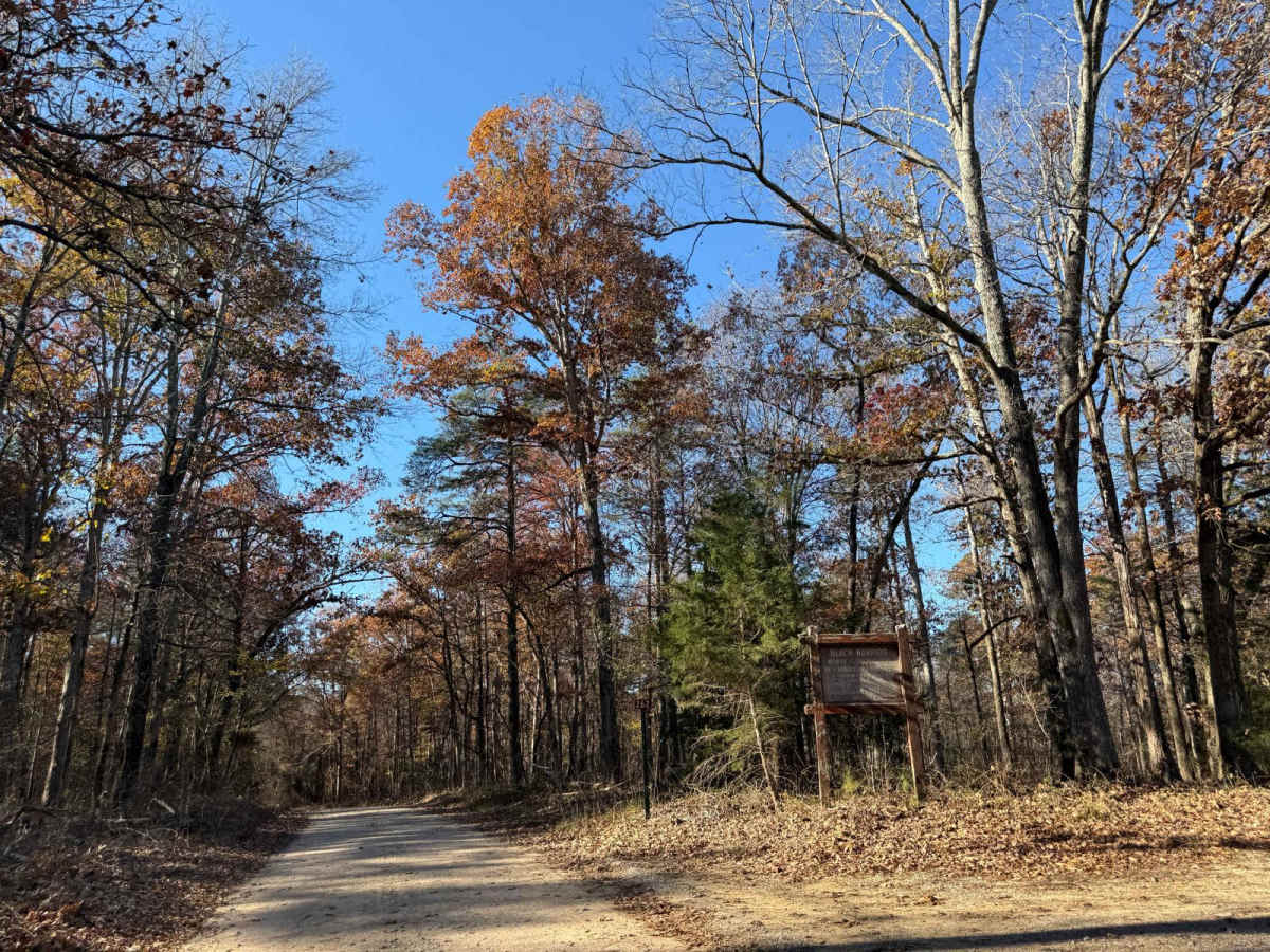 Owl Creek Road - FS 262 photo 5