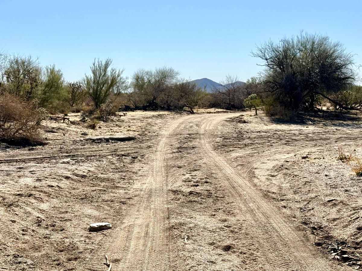 Southwest Goff Ranch Road photo 3