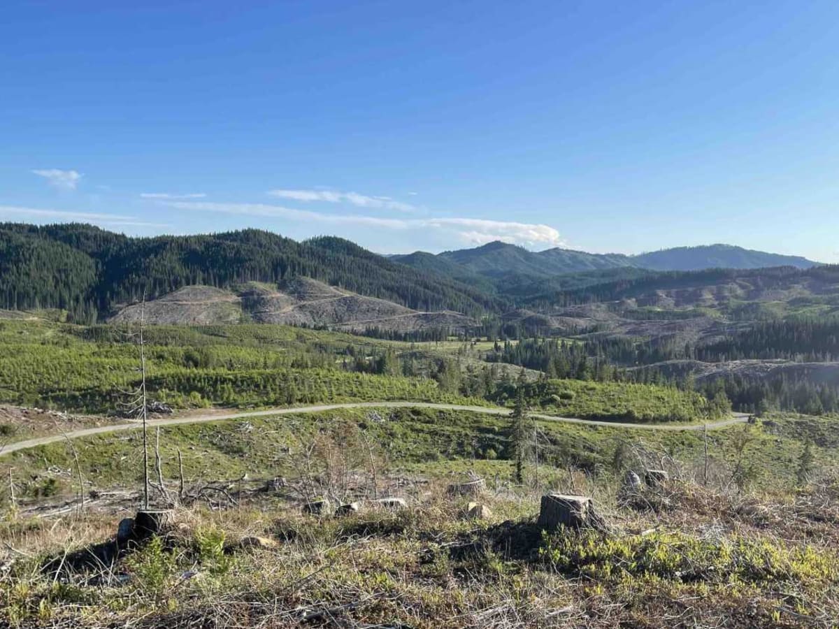 Grandad Road (Elk River to Dworshak Reservoir) photo 5