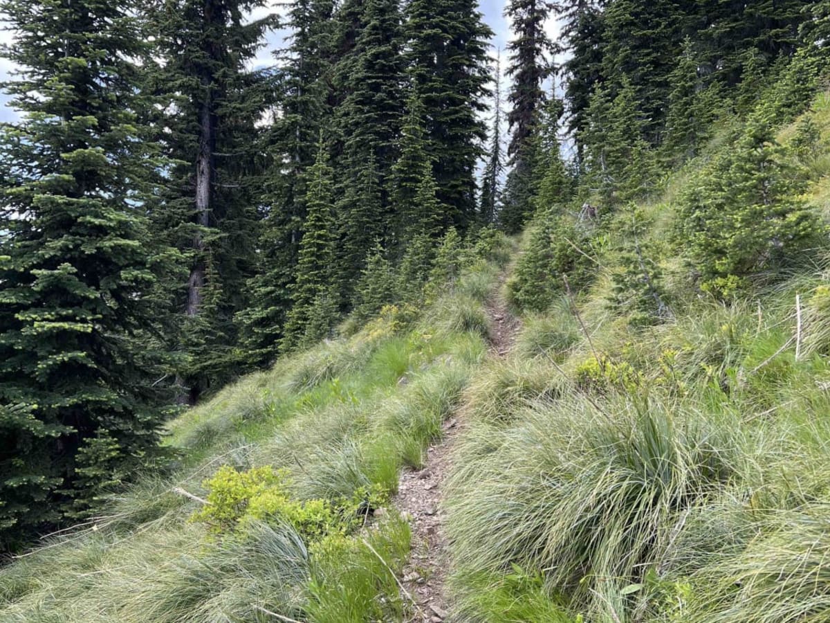 Wonderful Peak photo 2