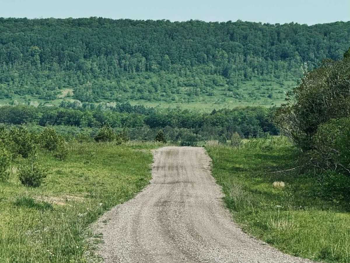 Wounded Warrior Road photo 2