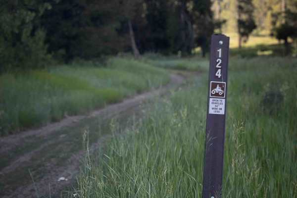 Johnson Creek #5124 