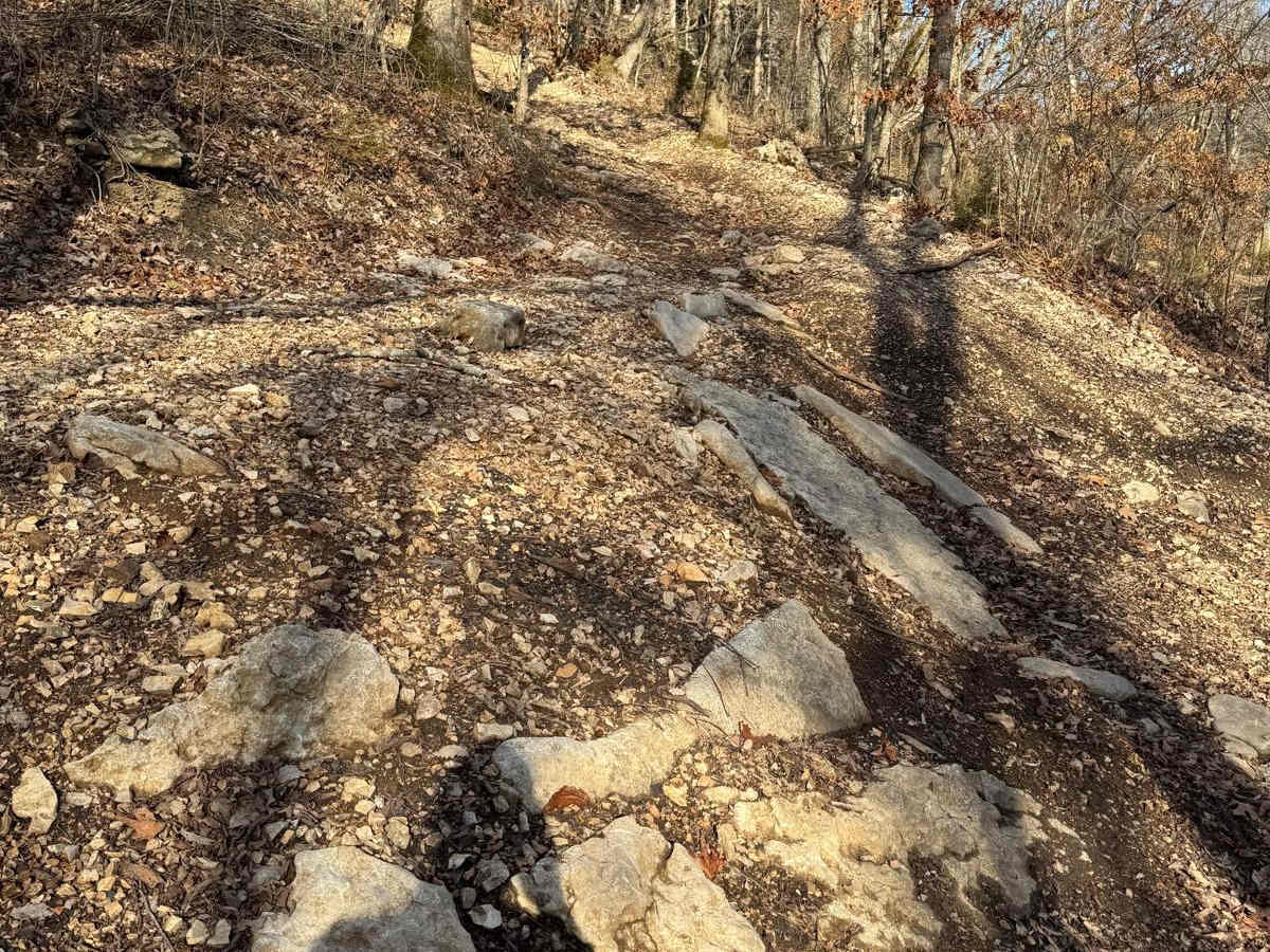 Yellow 308 trail photo