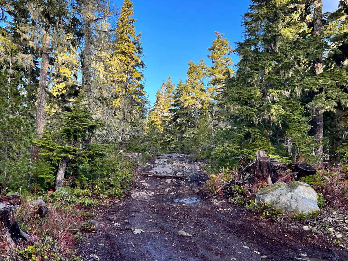 Rowbotham Lake photo 5