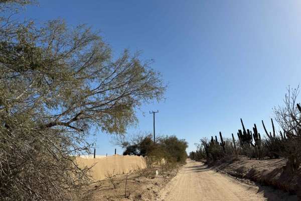 Camino Arenoso Cuatro