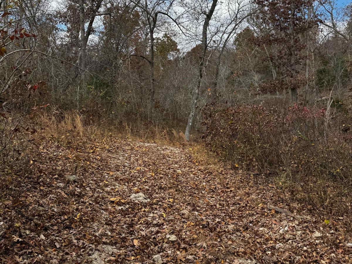Waterfall Access trail photo