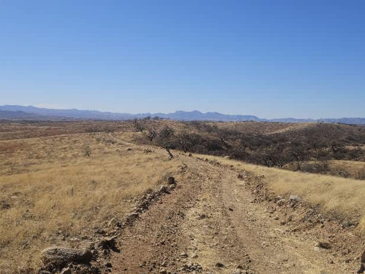 Grande Forest Road photo 2
