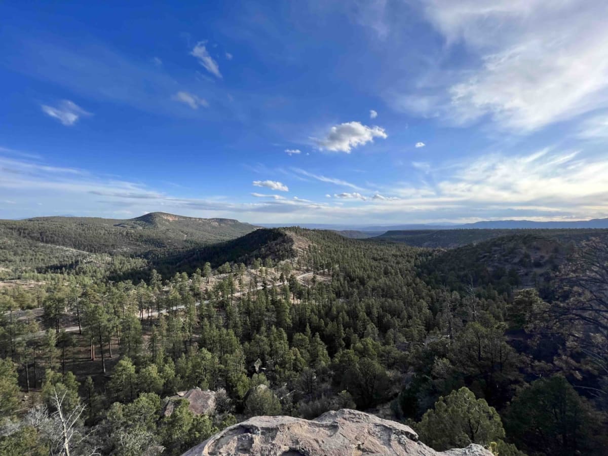 Bear Springs Road 266 photo 6