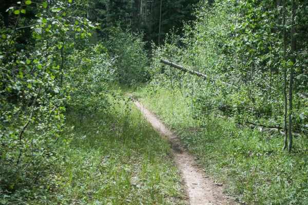 Morrison Trail (Part 1)