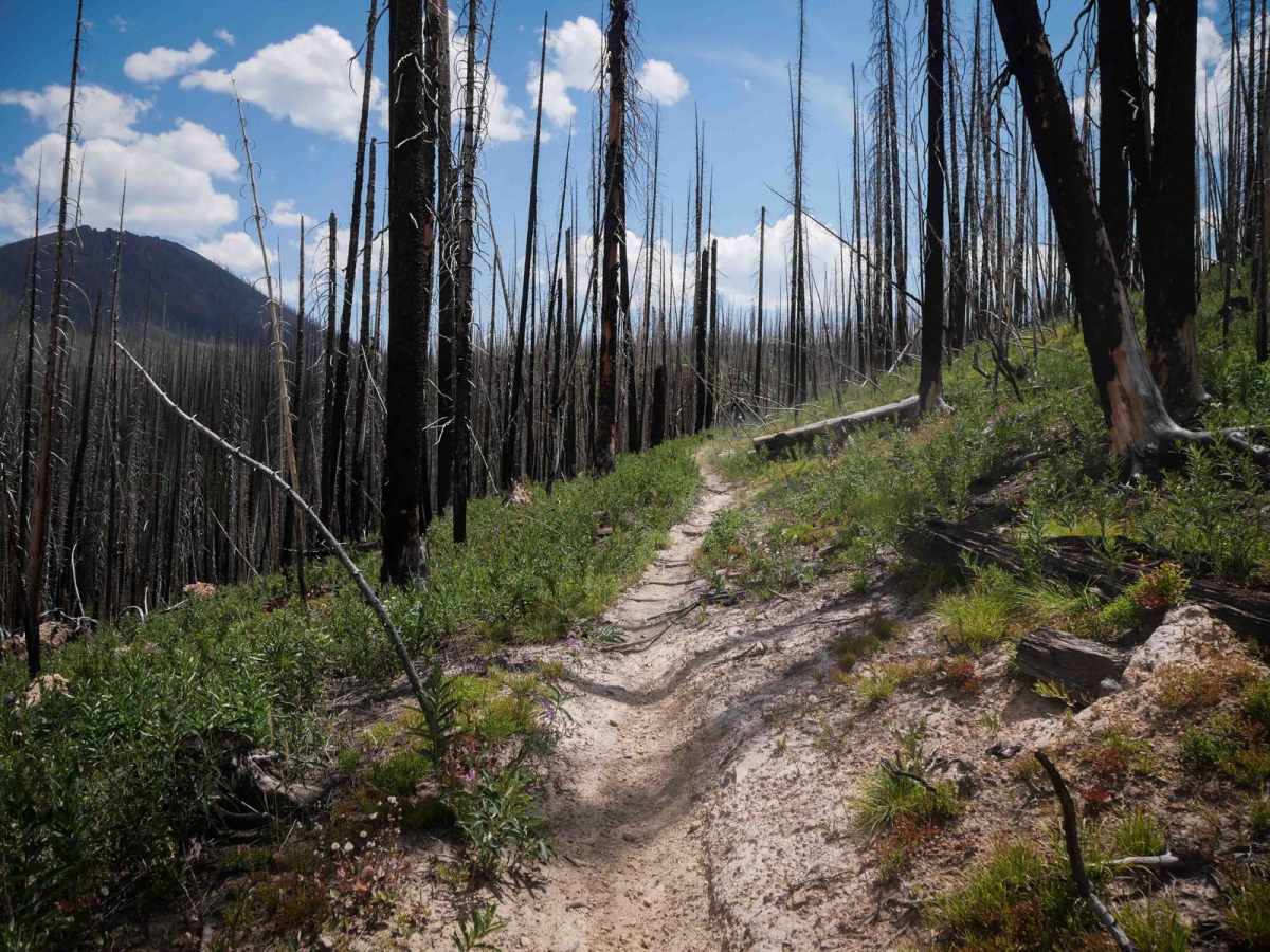 Gilsonite Trail  photo 2
