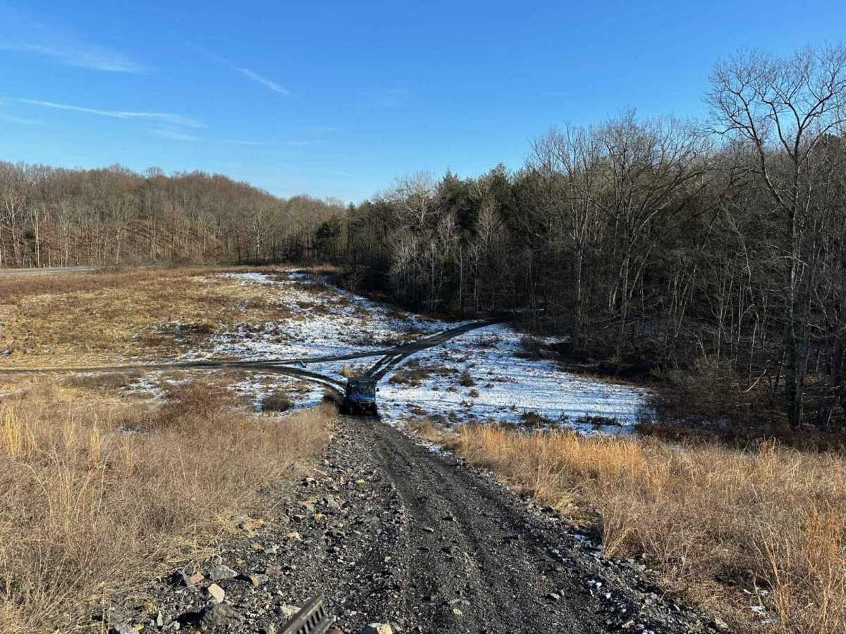 Locust Gap 59 photo 5